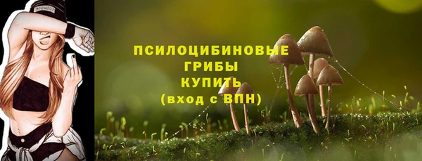 МДПВ Мегион
