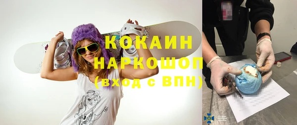 гашик Медвежьегорск