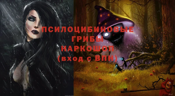 гашик Медвежьегорск