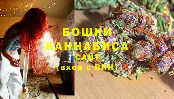 мдпв Медногорск