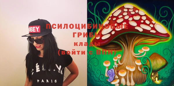 гашик Медвежьегорск