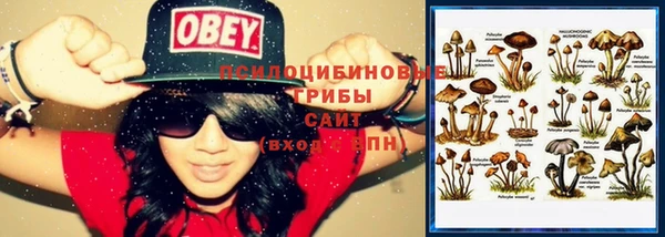 МДПВ Мегион