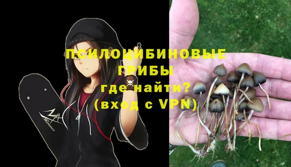 гашик Медвежьегорск