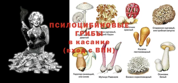 МДПВ Мегион
