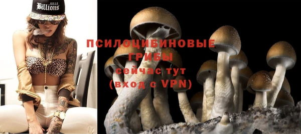 мдпв Медногорск